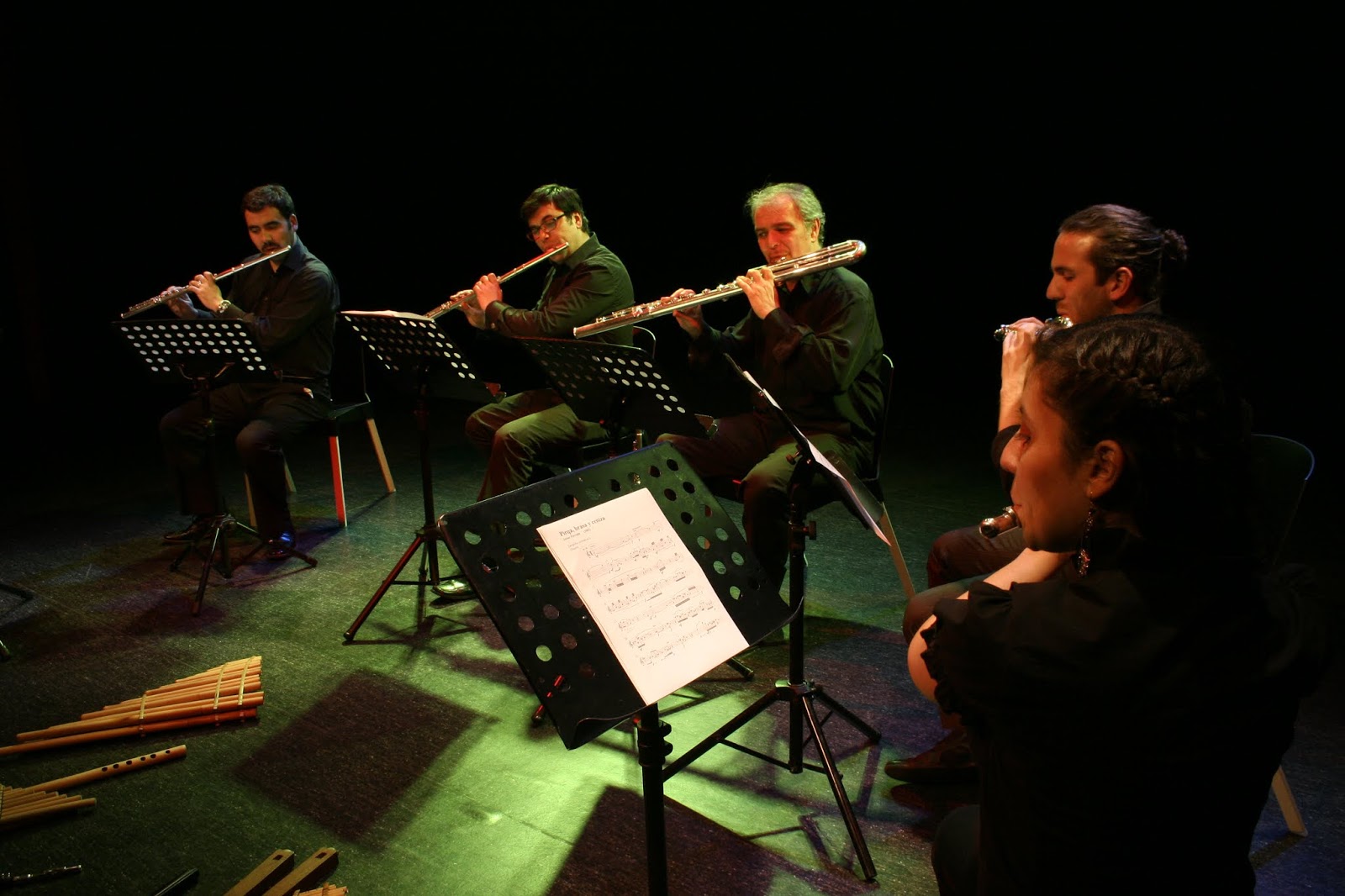 Proyecto Música Antara